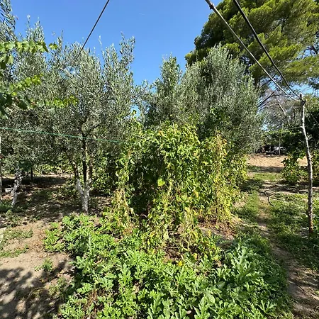 Three Vlorë